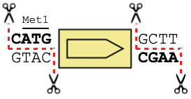 OpenCloning